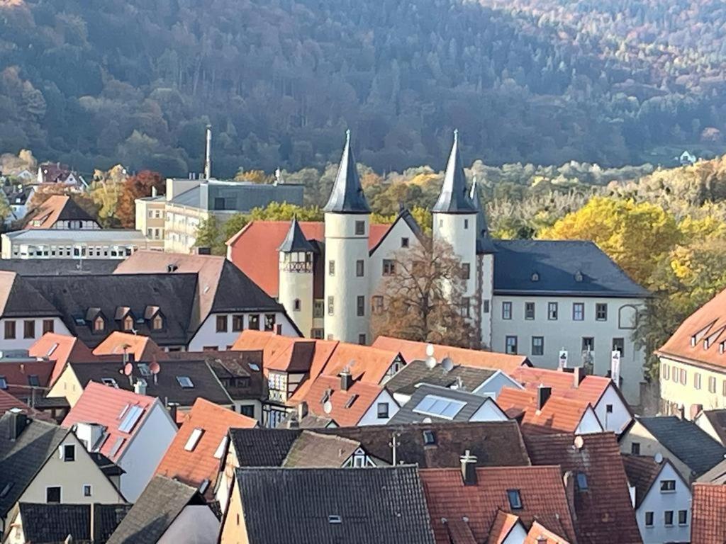 Wohnen Im Springerhof Daire Lohr Dış mekan fotoğraf